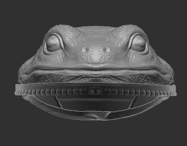 Frog Head for Slogg Cosmic Legions