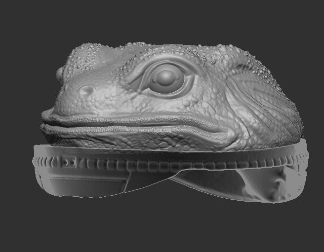 Frog Head for Slogg Cosmic Legions