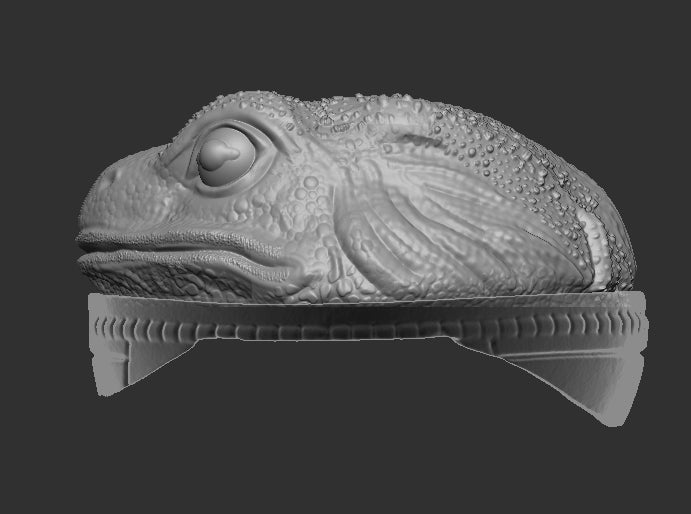 Frog Head for Slogg Cosmic Legions