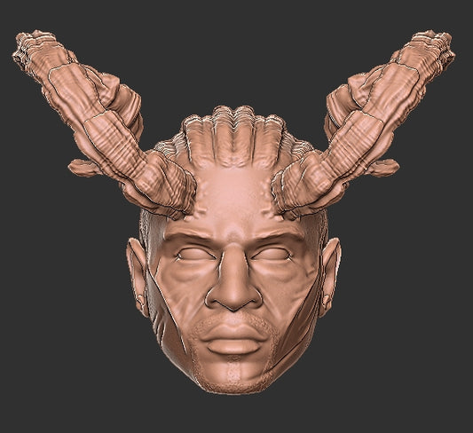 Baldur's Gate Wyll Head