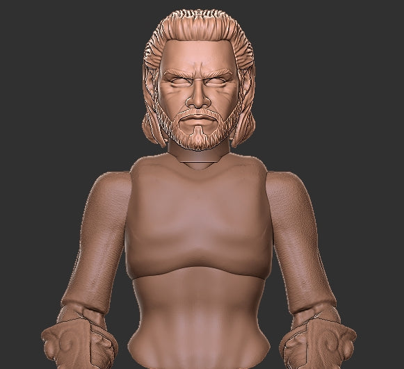 Baldur's Gate Gale Head