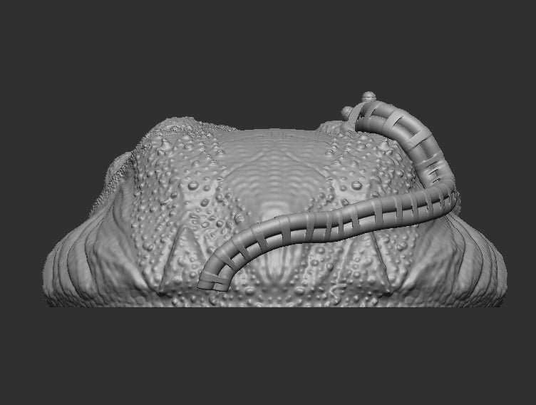 Cyber Frog Head for Slogg Cosmic Legions