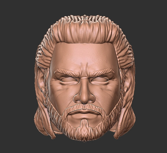 Baldur's Gate Gale Head