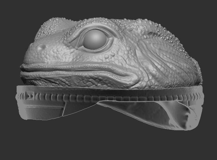 Frog Head for Slogg Cosmic Legions