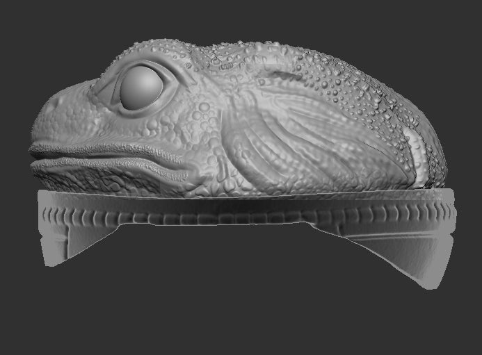 Frog Head for Slogg Cosmic Legions