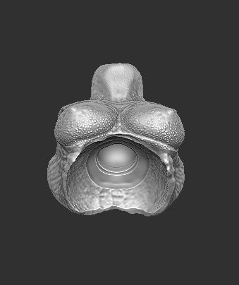 Fugitive Female Predator Torso
