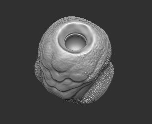 Fugitive Female Predator Torso