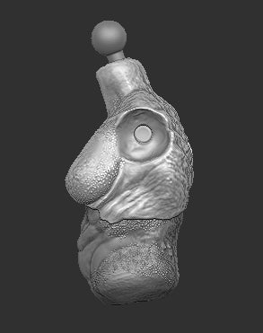 Fugitive Female Predator Torso