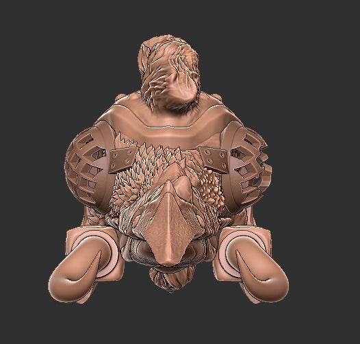 Corvus Thundersquall the Barbarian