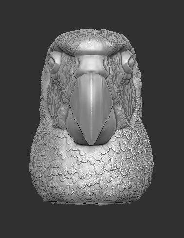 Parrot Head for Bird Figure
