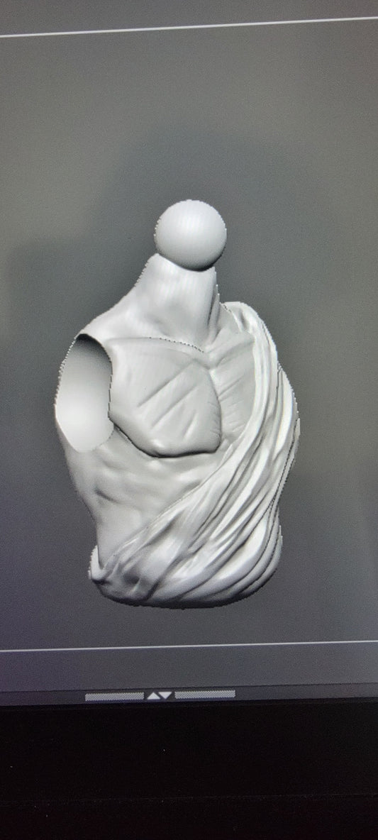 Toga Torso
