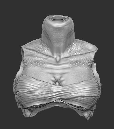 Fugitive Female Predator Torso Top Wraps