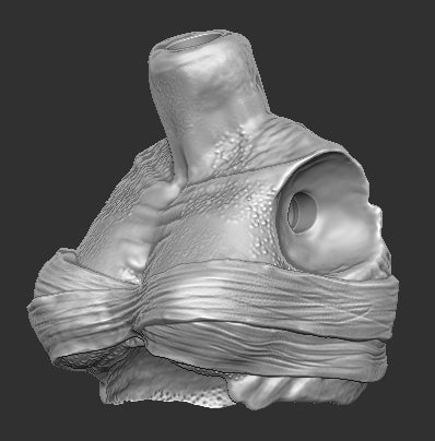Fugitive Female Predator Torso Top Wraps
