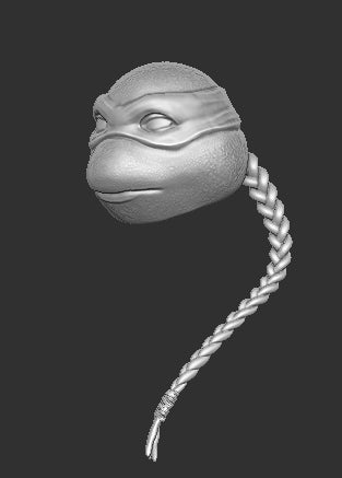 Venus TMNT