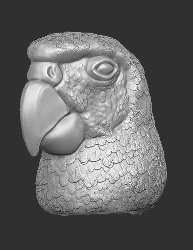 Parrot Head for Bird Figure