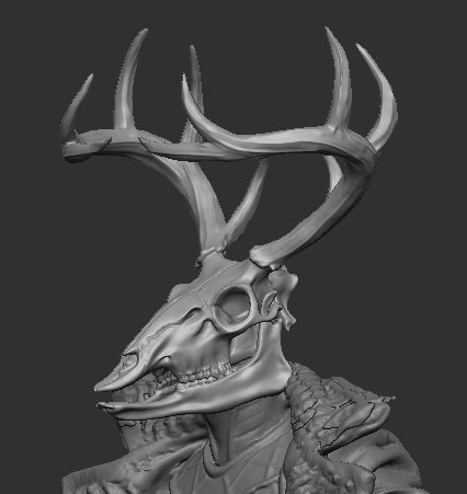 Deer Skull