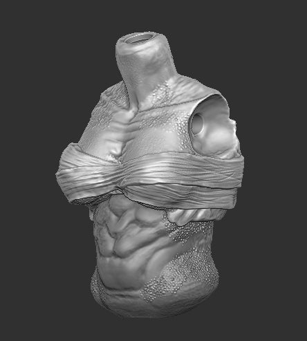 Fugitive Female Predator Torso Top Wraps
