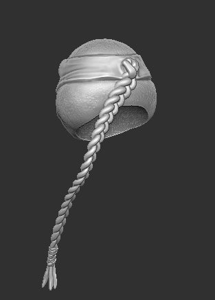 Venus TMNT