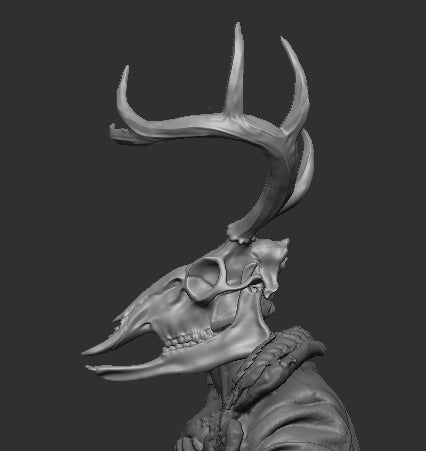 Deer Skull