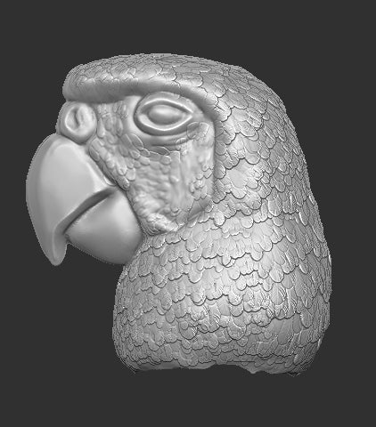 Parrot Head for Bird Figure