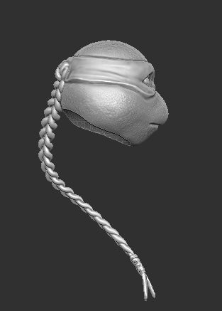 Venus TMNT
