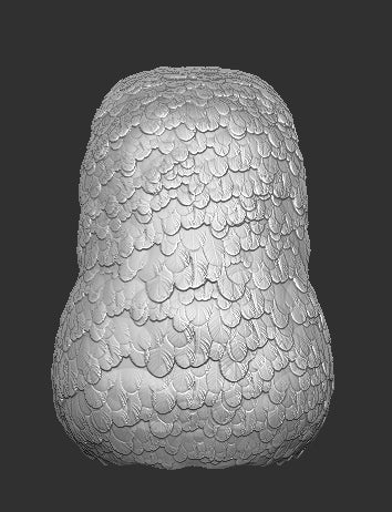 Parrot Head for Bird Figure