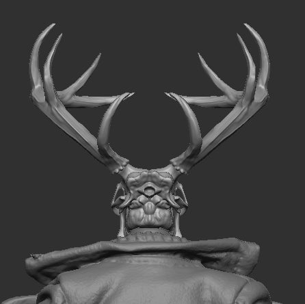 Deer Skull