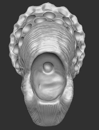 Fugitive Predator Modified Head Scan