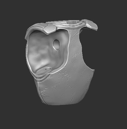 Chest Clip 1.0 Torso