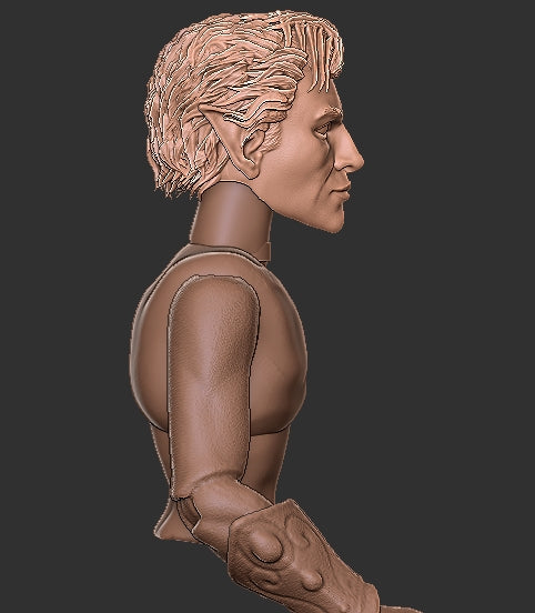 Baldur's Gate Astarion Head