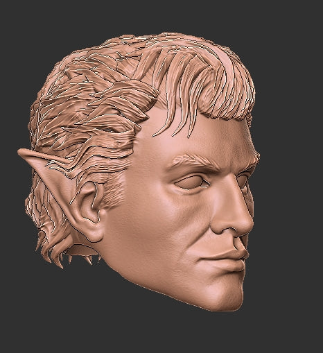 Baldur's Gate Astarion Head