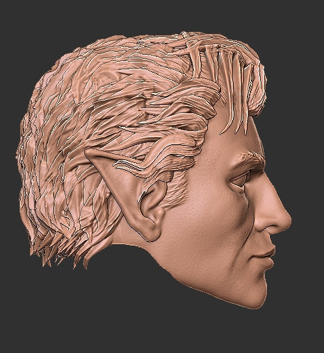 Baldur's Gate Astarion Head
