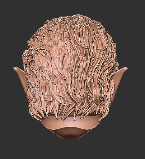 Baldur's Gate Astarion Head