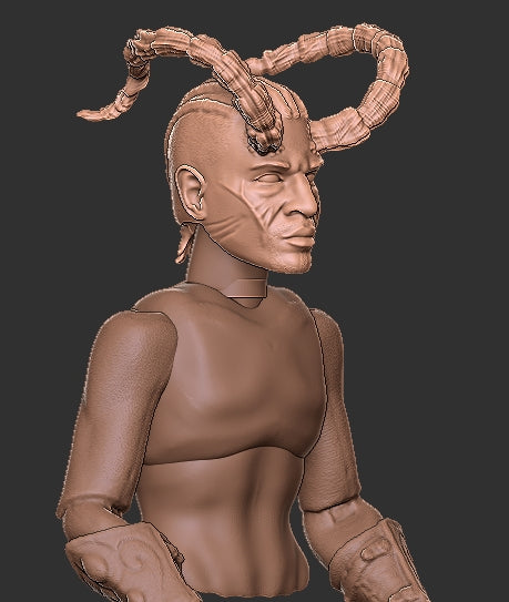Baldur's Gate Wyll Head