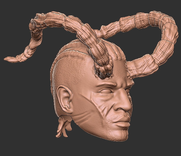 Baldur's Gate Wyll Head