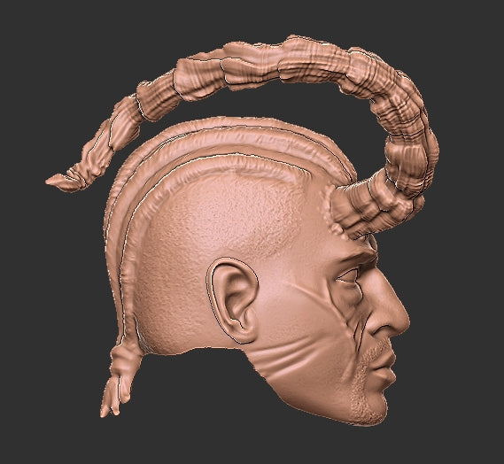 Baldur's Gate Wyll Head