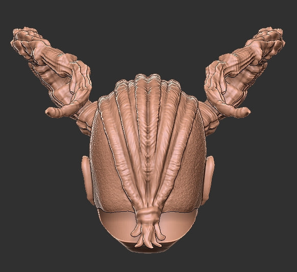 Baldur's Gate Wyll Head