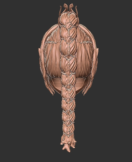 Baldur's Gate Shadowheart Head
