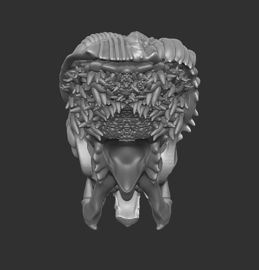 Night Recon Predator Head, Mask, and Pet