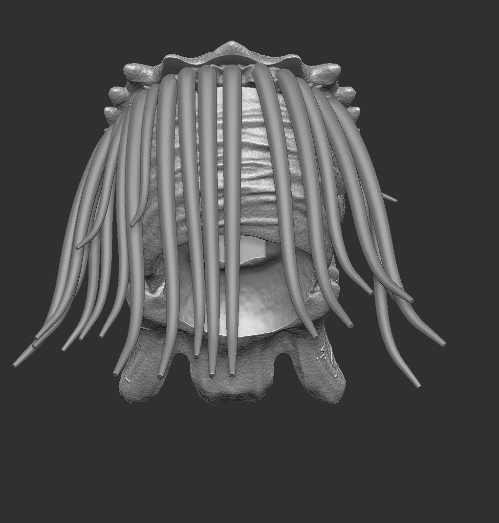 Predator Famine