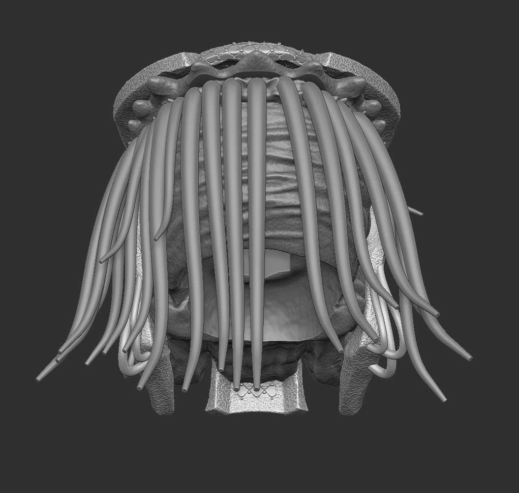 Predator Famine with Mask