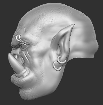Garrosh Head Only