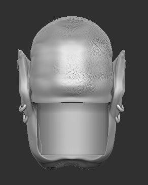 Garrosh Head Only