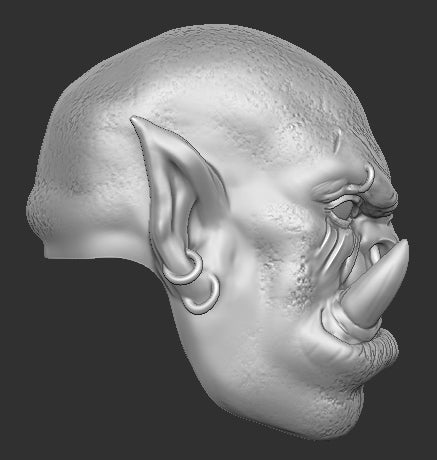Garrosh Head Only