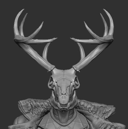 Deer Skull