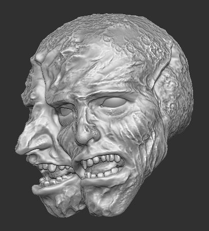 Flesh Gargoyle Elden Ring Head