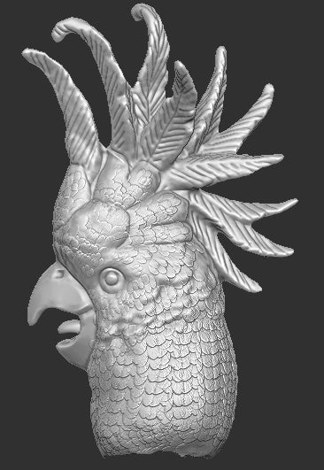 Cockatoo Head for Bird Figure