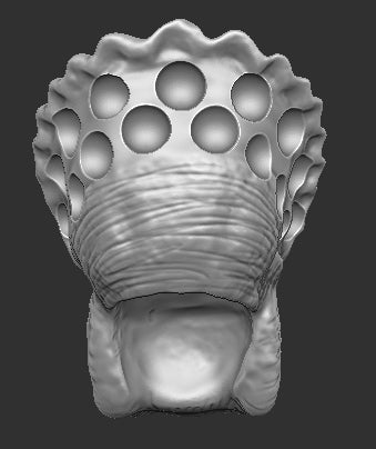 Fugitive Predator Modified Head Scan