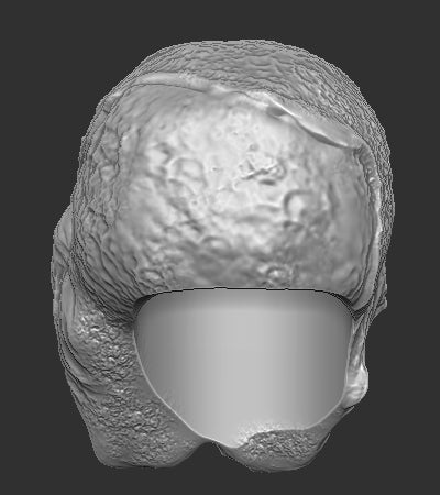 Flesh Gargoyle Elden Ring Head