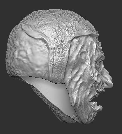 Flesh Gargoyle Elden Ring Head